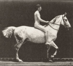 Plate 602 'Smith' trotting, bareback, rider nude — figure reference
